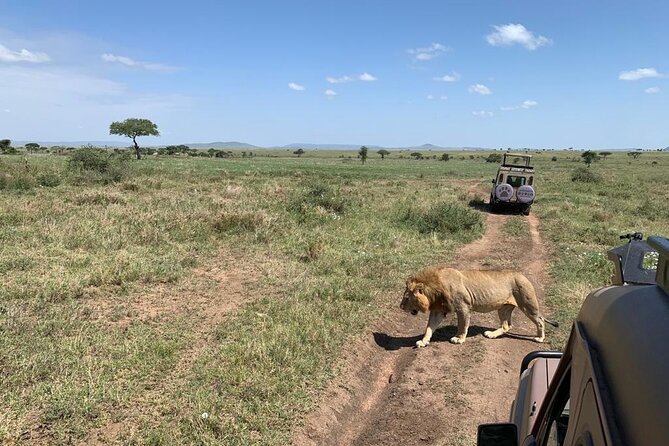 04 Days Tarangire, Serengeti and Ngorongoro crater group (Camping - Three famous safari areas in four demanding days
