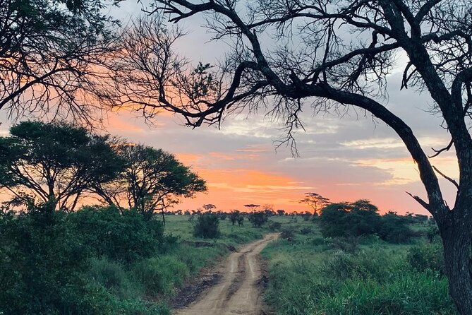 04 Days Tarangire, Serengeti and Ngorongoro crater group (Camping - Guides, food, and the human side of the trip