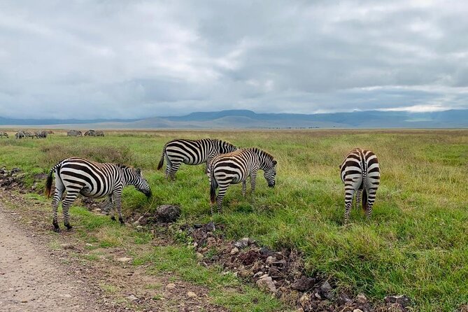 04 Days Tarangire, Serengeti and Ngorongoro crater group (Camping - Day 1: Tarangire’s elephants and the road to Karatu