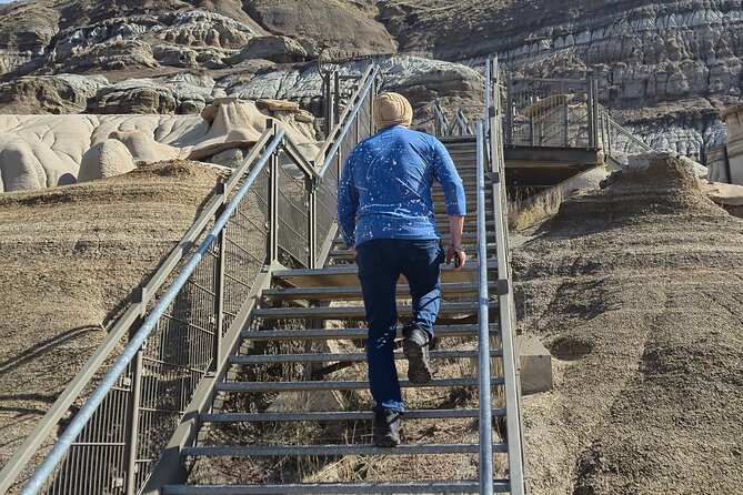 1 Day Guided Drumheller Tour: Calgary to Dinosaur Badlands - What the $112.01 price really covers