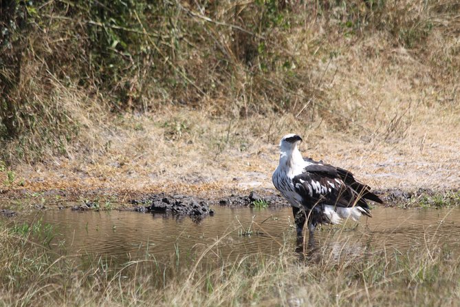 1 Day Safari to Akagera national park-Big5 Safari - The road through Kayonza and eastern Rwanda
