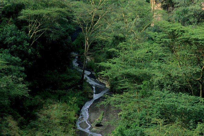 1 Day trip to Hells Gate and Lake Naivasha From Nairobi - The 7am departure from Nairobi