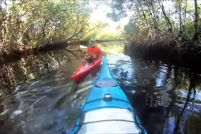 10000 Islands Everglades Boat Tour - Is $62.54 a Fair Price?