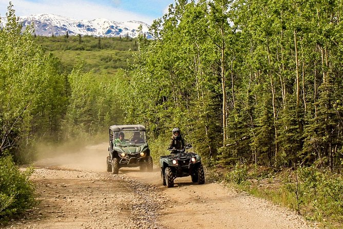 2.5-Hour Denali Wilderness ATV Adventure Tour - The trail: forest, rock, water, and mud