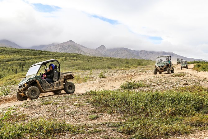 2.5-Hour Denali Wilderness ATV Adventure Tour - From hotel pickup to the practice course