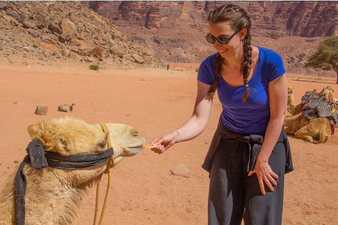 2 Day private tour from Amman to Petra_ Wadi Rum_ Aqaba Dead Sea - Who will get the most from this trip