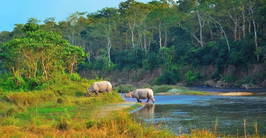 2 Days Chitwan Jungle Safari Tour from Pokhara/Kathmandu - Key points at a glance