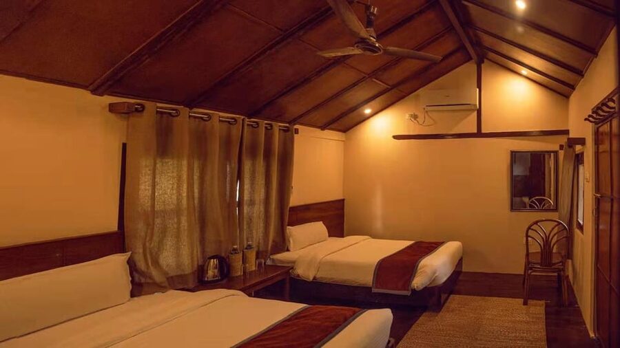 2 Days Chitwan Jungle Safari Tour from Pokhara/Kathmandu - The second morning jungle walk