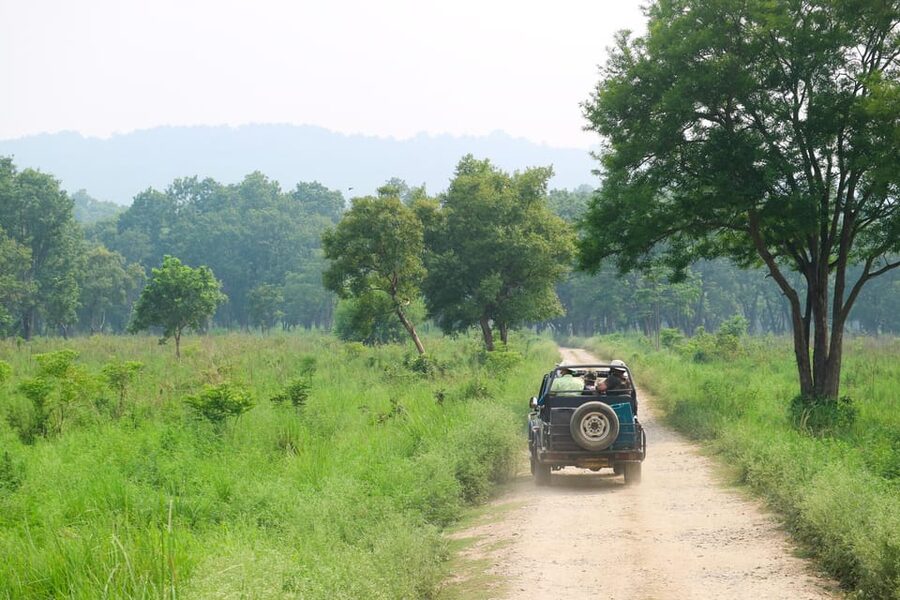 2 Days Chitwan Jungle Safari Tour from Pokhara/Kathmandu - What the $117 price really covers