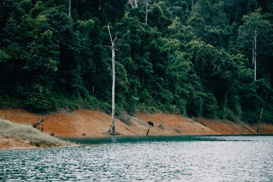 2 Days Khao Sok with Overnight at Cheow Lan Lake Raft House - A quiet night in the floating raft house