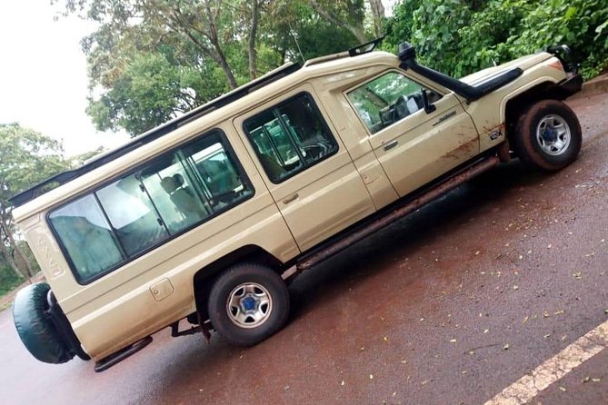 2 days Mid Range Safari in Ngorongoro and Tarangire Big 5 Parks - Day two: descending into Ngorongoro Crater