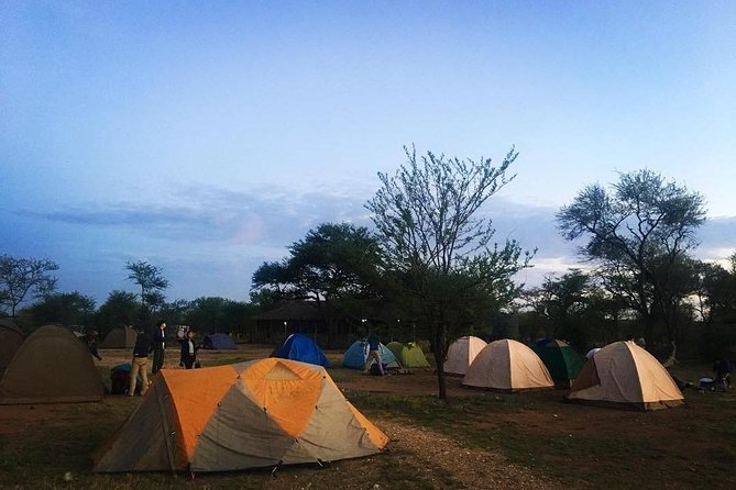2 days Mid Range Safari in Ngorongoro and Tarangire Big 5 Parks - Group size, comfort, and practical limits