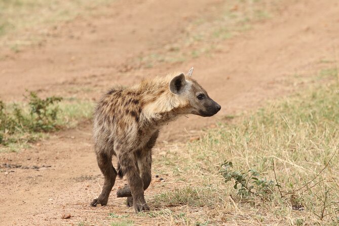 2 Days Tarangire and Ngorongoro Group Camping Safari - Why this two-day route works