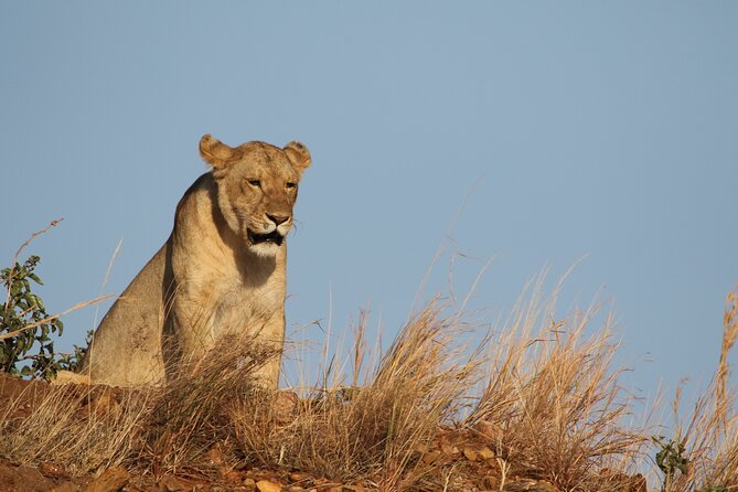 2 Days Tarangire and Ngorongoro Group Camping Safari - Who will get the most from this safari