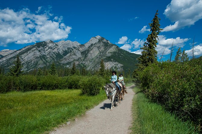 2 Hour Banff Horseback Riding Adventure - Marshes, Sulphur Mountain, and Windy Knoll
