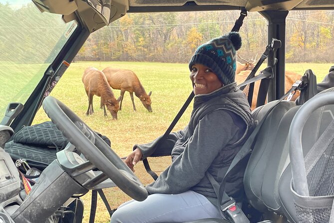 3-3.5 HR UTV ECO Elk Wilderness Adventure - Riding 15 miles of dirt and gravel trails