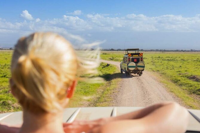 3 Day Classic, Guided Serengeti Safari - Day 3: a long return to Arusha