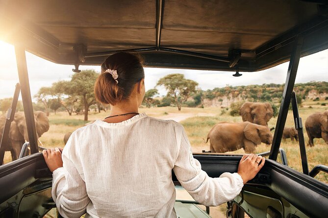 3-Day Tarangire, Ngorongoro and Lake Manyara Camping Safari - Timing, pickup and the value of $750