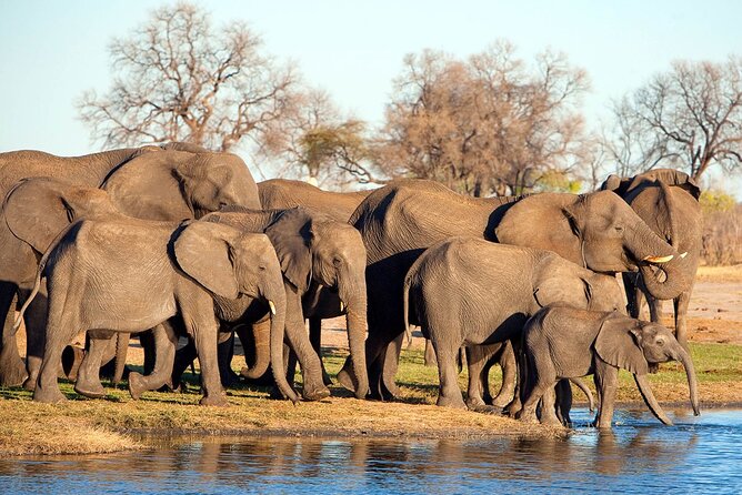 3-Day Tarangire, Ngorongoro and Lake Manyara Camping Safari - Ngorongoro Crater packs a lot into one drive