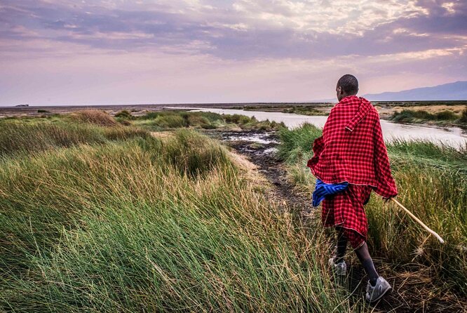 3 Days 2 Nights Group Joining Serengeti and Ngorogoro Safari - Meals, camping, and the comfort question