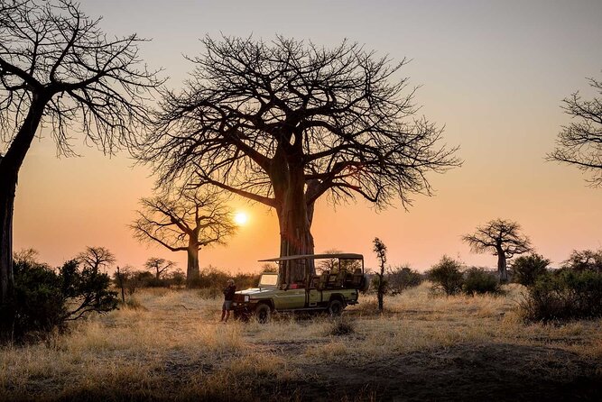 3 Days 2 Nights Group Joining Serengeti and Ngorogoro Safari - Booking, cancellation, and useful preparation