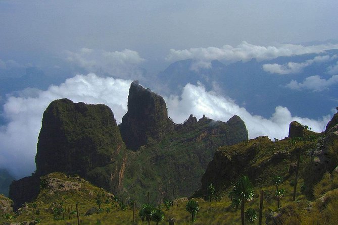 3 Days Bale Mountains Trekking - Day one: Dinsho woodland and the road to Goba