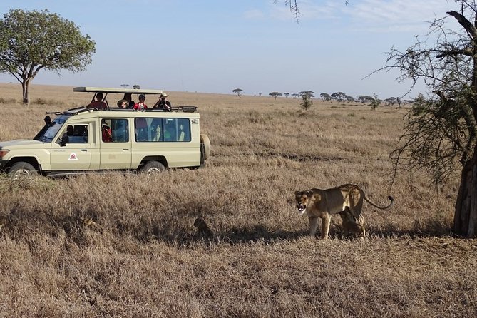 3 days group joining safari to Maasai Mara with a Land Cruiser Jeep - Sleeping in a furnished safari tent