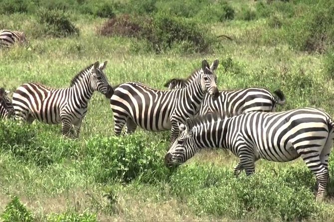 3 days group joining safari to Maasai Mara with a Land Cruiser Jeep - Leaving Nairobi and stopping at the Great Rift Valley