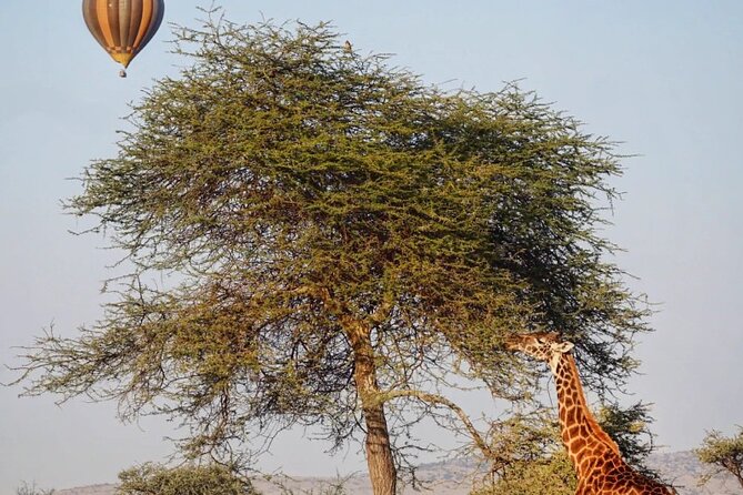 3 Days Group Safari Serengeti & Ngorongoro - Why this route works in only three days