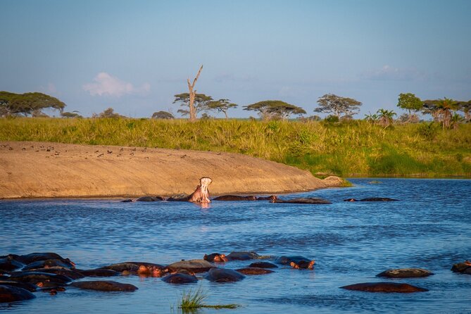 3 Days Group Safari Serengeti & Ngorongoro - What to pack for the camping nights
