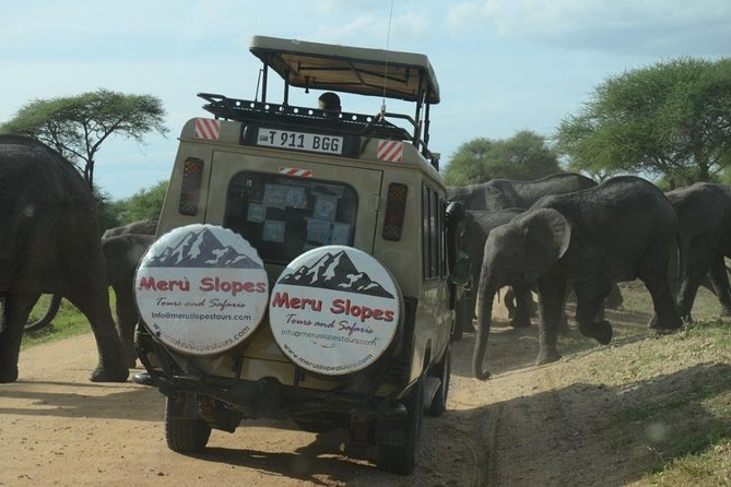 3 Days Lake Manyara, Ngorogoro Crater, Tarangire National Park - The guide and the small-group setup