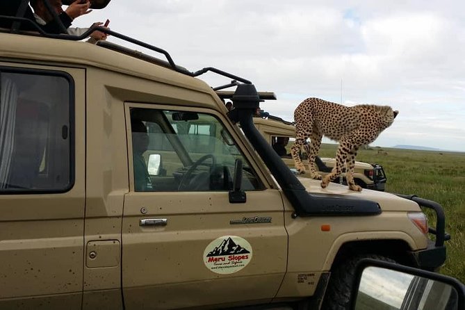 3 Days Lake Manyara, Ngorogoro Crater, Tarangire National Park - Is three days enough for this route?