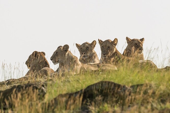 3 days Masai Mara on Private 4x4 Land Cruiser - Day one: Rift Valley views and the first Mara drive