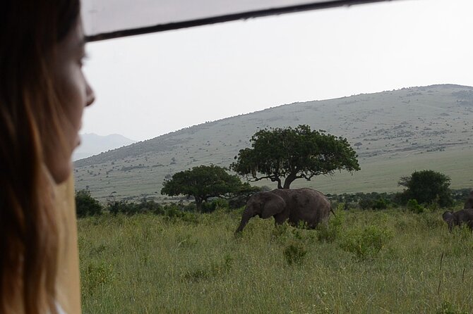 3 days Masai Mara on Private 4x4 Land Cruiser - Who will enjoy this safari most