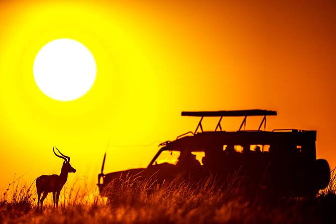 3 days Masai Mara on Private 4x4 Land Cruiser - Booking details worth checking