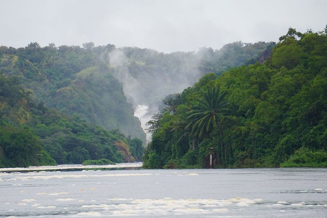 3 Days Murchison Falls Adventure Wildlife Safari Uganda Tour - Key points to know before you book