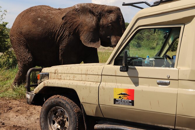 3 Days Private Safari - manyara, Ngorongoro & Tarangire - Lake Manyara: Flamingos, Elephants, and a Rift Valley View