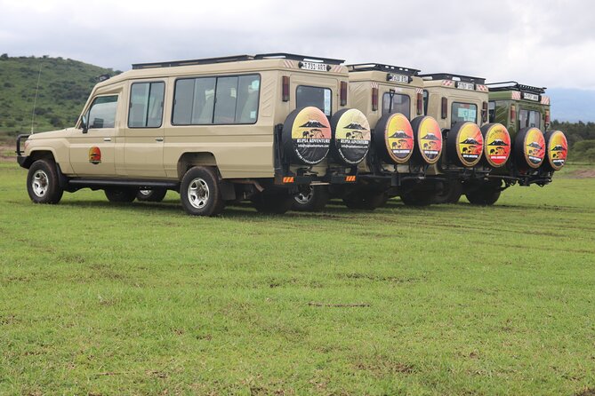 3 Days Private Safari - manyara, Ngorongoro & Tarangire - The Pace, Group Size, and Practical Tradeoffs