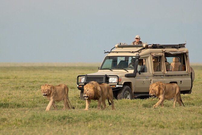 3 Days Safari Ngorongoro Crater and Serengeti National Park - Why the Serengeti and Ngorongoro pairing works