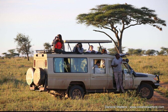 3 Days Safari Ngorongoro Crater and Serengeti National Park - Day three: the concentrated wildlife of Ngorongoro Crater