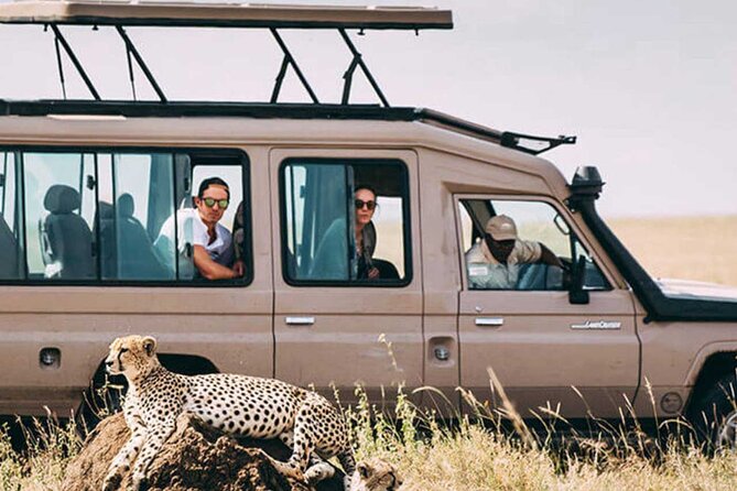 3 Days Safari Ngorongoro Crater and Serengeti National Park - What the guide can add to your safari