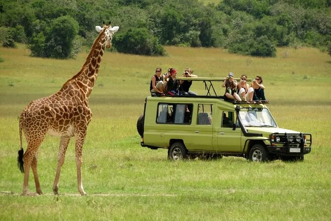 3 Days Safari Ngorongoro Crater and Serengeti National Park - Is $810 per person good value?