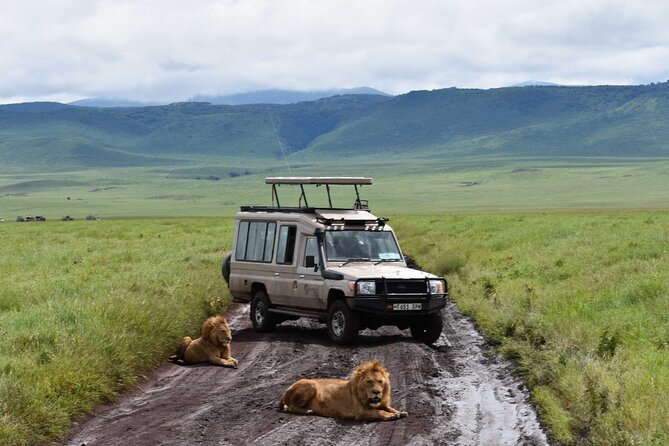 3 Days Safari Ngorongoro Crater and Serengeti National Park - Who should book this safari?