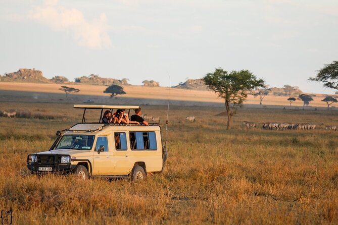 3 Days Safari Ngorongoro Crater and Serengeti National Park - Day one: the long road into southern Serengeti
