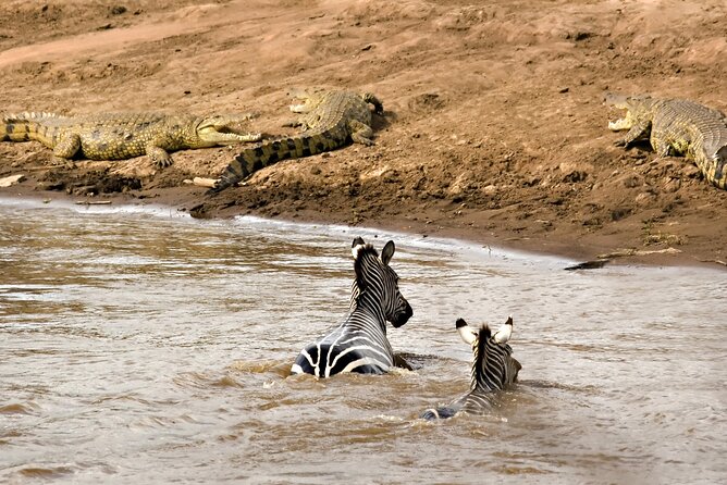 3 Days Safari Serengeti & Ngorongoro Crater - Who should book this three-day safari