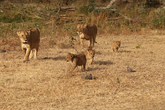 3 Days Serengeti & Ngorongoro Group Camping Safari - Key things to know before booking