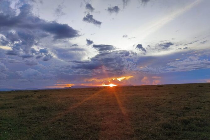 3 Days Small Group Safari to Serengeti NP and Ngorongoro Crater Tour in Tanzania - Day two, a final Serengeti game drive