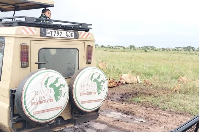 3 Days Small Group Safari to Serengeti NP and Ngorongoro Crater Tour in Tanzania - The guide and vehicle matter