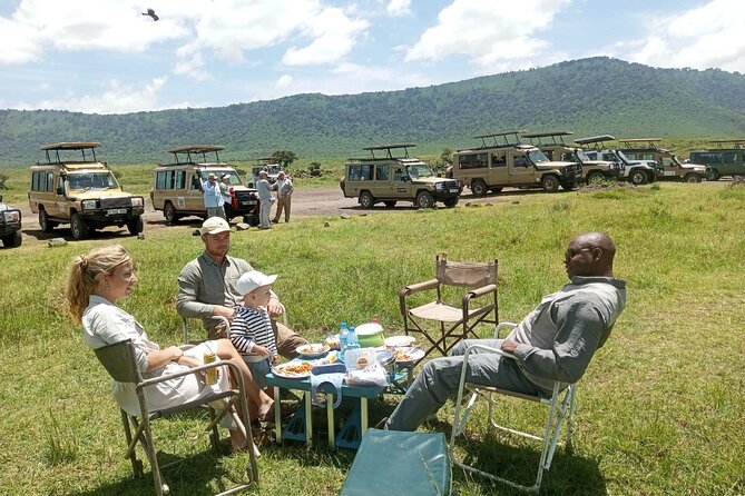 3 Days Small Group Safari to Serengeti NP and Ngorongoro Crater Tour in Tanzania - Meals, equipment, and what to pack