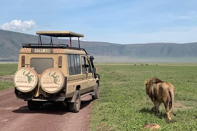 3 Days Small Group Safari to Serengeti NP and Ngorongoro Crater Tour in Tanzania - Seronera Valley and the kopjes